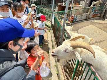 日立市かみね動物園に投稿された画像（2023/5/5）