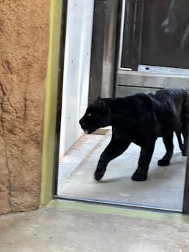 日立市かみね動物園に投稿された画像（2023/5/5）