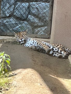 日立市かみね動物園に投稿された画像（2023/5/5）