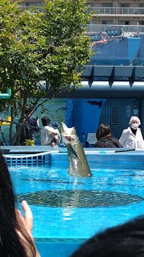 サンシャイン水族館に投稿された画像（2023/5/5）