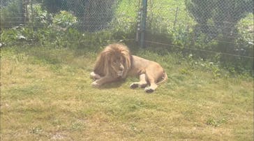 岩手サファリパークに投稿された画像（2023/5/5）