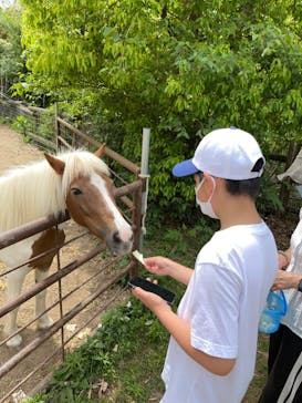 しろとり動物園に投稿された画像（2023/5/5）