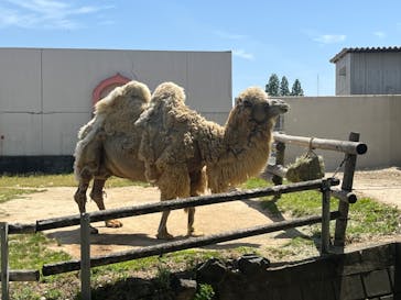 東武動物公園に投稿された画像（2023/5/5）