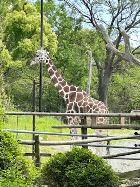 天王寺動物園に投稿された画像（2023/5/5）