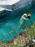 天王寺動物園に投稿された画像（2023/5/5）