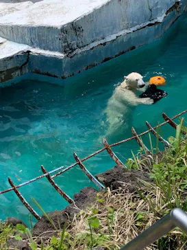 天王寺動物園に投稿された画像（2023/5/5）