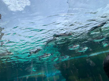 天王寺動物園に投稿された画像（2023/5/5）