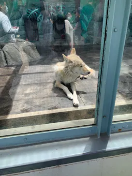 天王寺動物園に投稿された画像（2023/5/5）