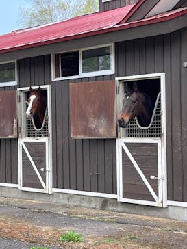 ノーザンホースパークに投稿された画像（2023/5/5）