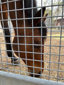 ノーザンホースパークに投稿された画像（2023/5/5）