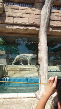 東武動物公園に投稿された画像（2023/5/5）