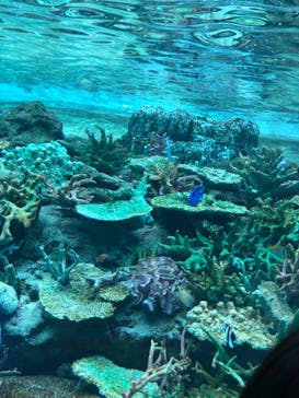 名古屋港水族館に投稿された画像（2023/5/5）