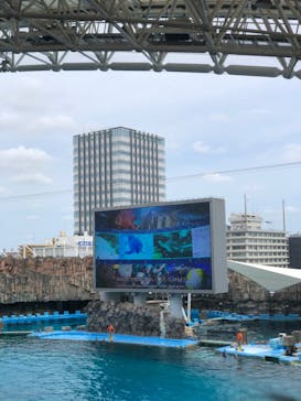 名古屋港水族館に投稿された画像（2023/5/5）