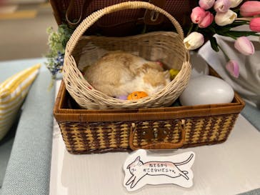 オーシャンスパ Fuuaに投稿された画像（2023/5/5）