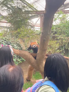 神戸どうぶつ王国に投稿された画像（2023/5/5）