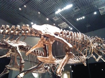 特別展「恐竜博2023」に投稿された画像（2023/5/5）