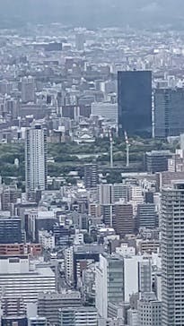 ハルカス300(展望台)に投稿された画像（2023/5/5）