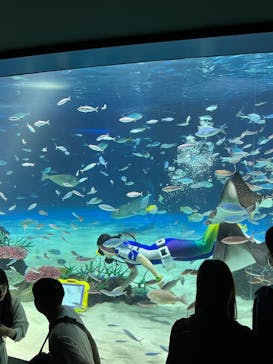サンシャイン水族館に投稿された画像（2023/5/5）