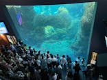 新江ノ島水族館に投稿された画像（2023/5/5）