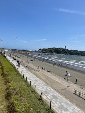 新江ノ島水族館に投稿された画像（2023/5/5）