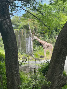 天王寺動物園に投稿された画像（2023/5/5）