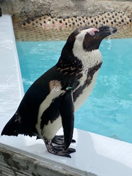 マリンワールド海の中道に投稿された画像（2023/5/5）