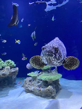 マリンワールド海の中道に投稿された画像（2023/5/5）