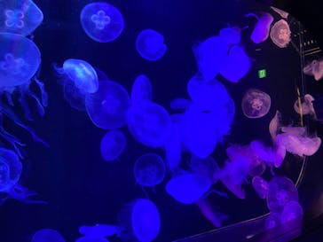 マリンワールド海の中道に投稿された画像（2023/5/5）