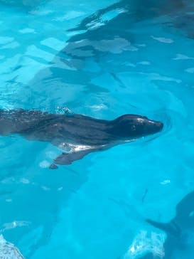 マリンワールド海の中道に投稿された画像（2023/5/5）