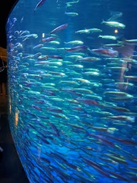 登別マリンパークニクスに投稿された画像（2023/5/5）