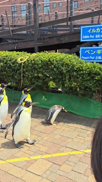 登別マリンパークニクスに投稿された画像（2023/5/5）