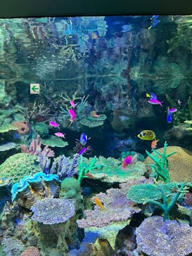 サンシャイン水族館に投稿された画像（2023/5/5）