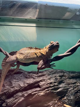 サンシャイン水族館に投稿された画像（2023/5/5）