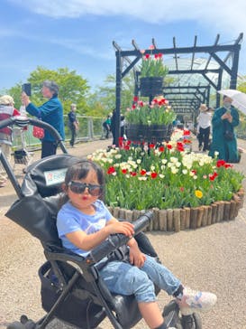 とっとり花回廊に投稿された画像（2023/5/5）