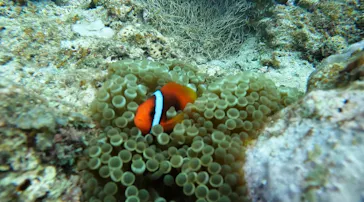 武藤潜水に投稿された画像（2023/5/5）