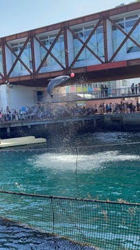 伊豆・三津シーパラダイスに投稿された画像（2023/5/5）