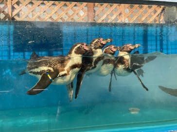 伊豆・三津シーパラダイスに投稿された画像（2023/5/5）