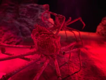 伊豆・三津シーパラダイスに投稿された画像（2023/5/5）