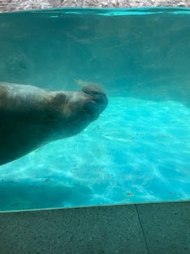 伊豆・三津シーパラダイスに投稿された画像（2023/5/5）