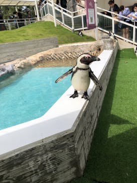 マリンワールド海の中道に投稿された画像（2023/5/5）