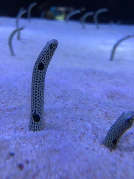 マリンワールド海の中道に投稿された画像（2023/5/5）