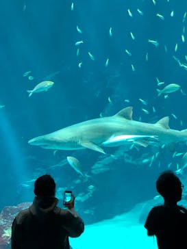 マリンワールド海の中道に投稿された画像（2023/5/5）