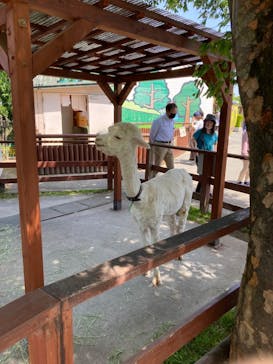 東武動物公園に投稿された画像（2023/5/5）