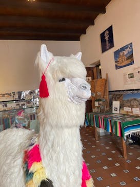 野外民族博物館 リトルワールドに投稿された画像（2023/5/5）