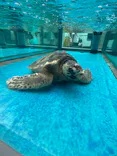 名古屋港水族館に投稿された画像（2023/5/5）