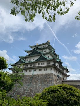 名古屋城に投稿された画像（2023/5/5）