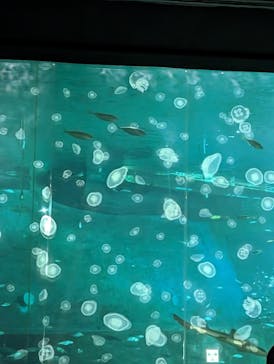 南知多ビーチランド＆南知多おもちゃ王国に投稿された画像（2023/5/5）