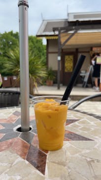 野外民族博物館 リトルワールドに投稿された画像（2023/5/5）