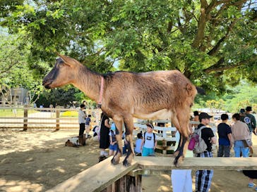 成田ゆめ牧場に投稿された画像（2023/5/5）