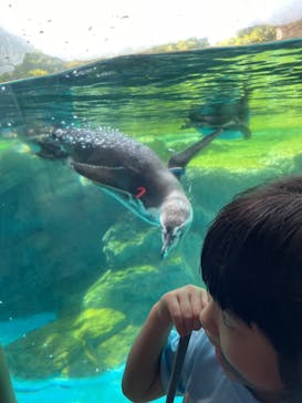 よこはま動物園ズーラシアに投稿された画像（2023/5/5）